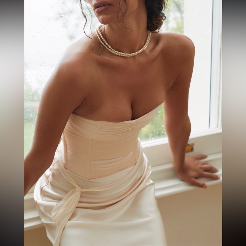 Arcina Ori Blair Bustier NWT